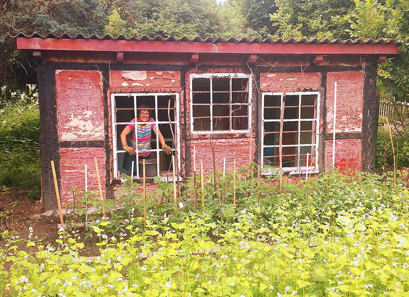 alter Gänsestall mit wildbewachsener Wiese davor - 3 Fenster, hinter dem linken Fenster ist eine Person im Stall sichtbar.